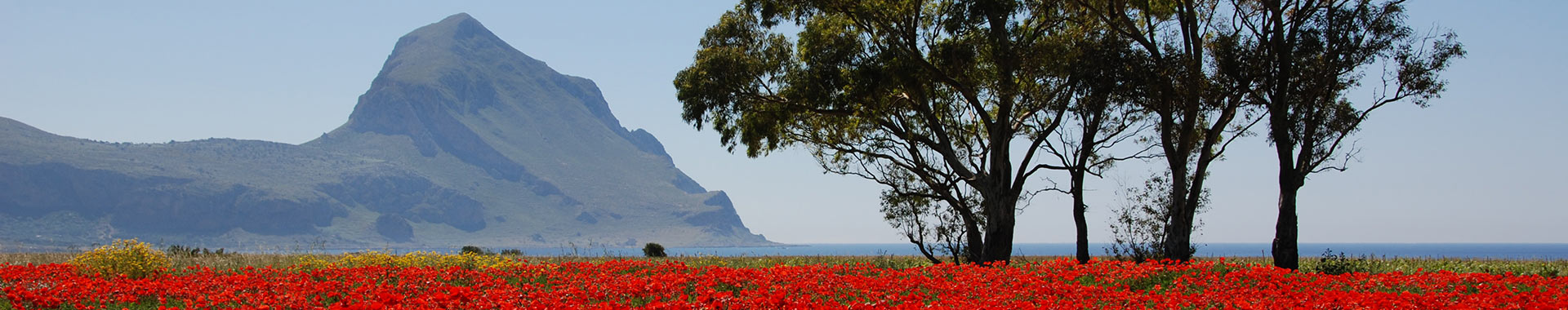 Events San Vito Lo Capo